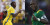 Profil Kapten Tim Piala Dunia 2022: Vincent Aboubakar, Kamerun