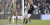 Cetak 50 Gol di Serie-A, Ronaldo Masih Kalah dari Shevchenko