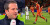 Kisah Rafael van der Vaart, Pemain Hebat yang Jadi Komentator Euro 2020
