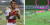 Momen Gol Penalti Menit Akhir Beto Goncalves Selamatkan Madura United